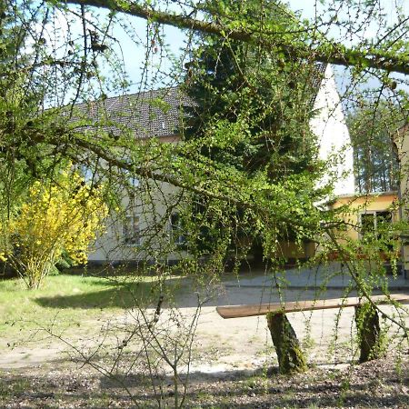 Appartamento Suedseite Nossentiner Huette Esterno foto